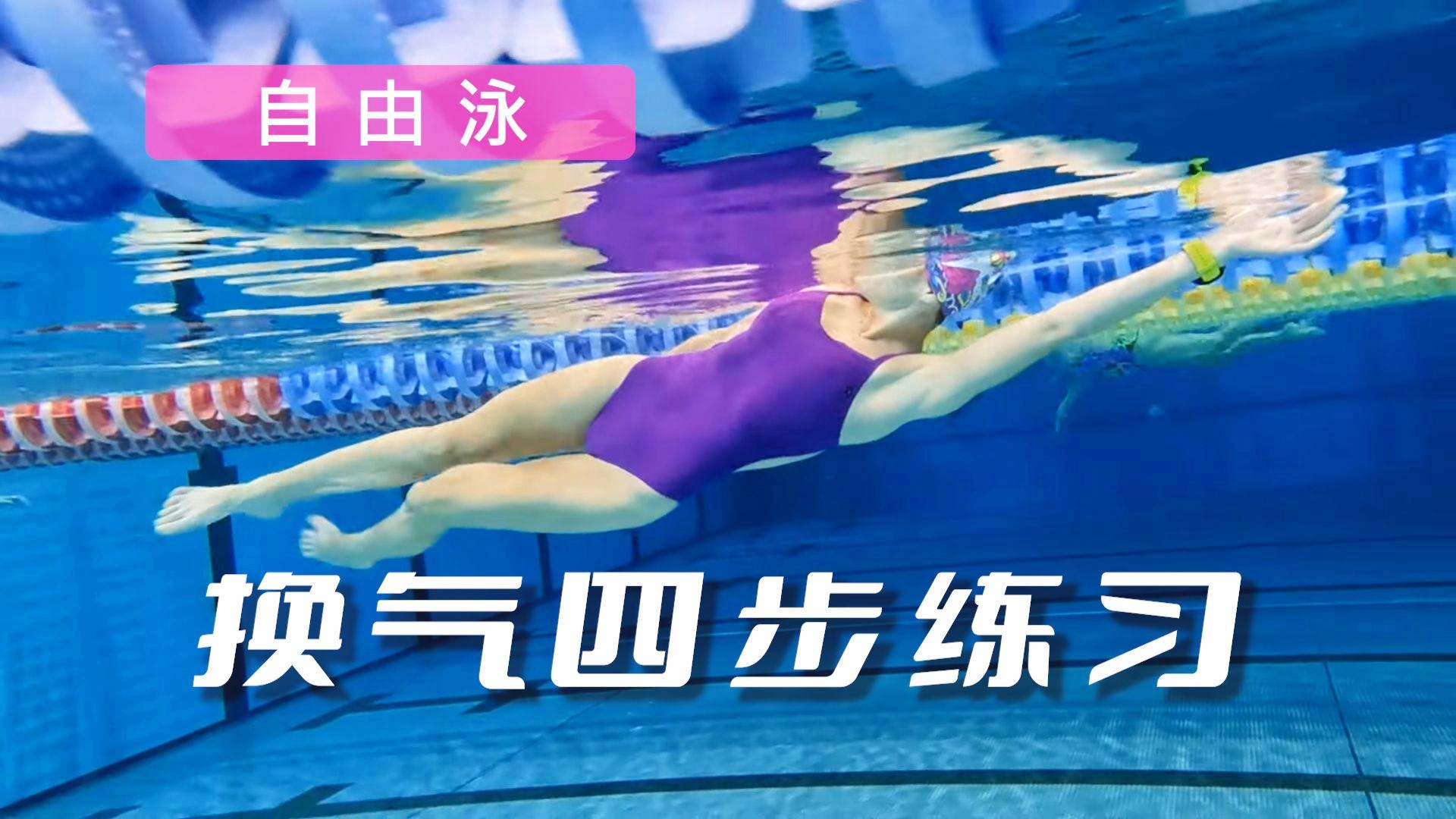 自由泳步骤详解