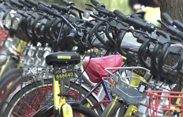 上海拍牌照哪家靠谱，深度解析上海各大拍牌机构的信誉与服务