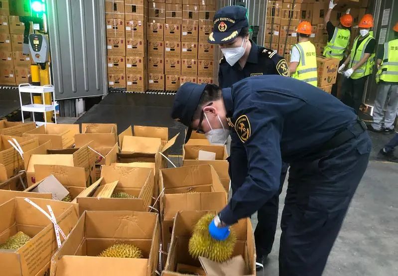 广州海关水果案件结果，揭示走私背后的真相与法治力量