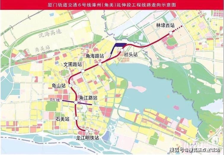 木纹的石头，自然之美与独特魅力的交融