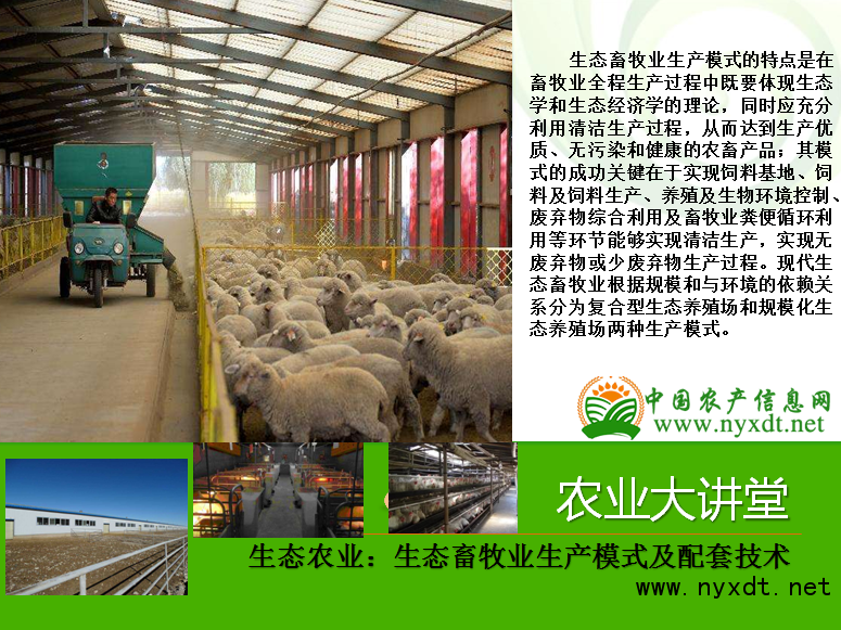 山东养殖大棚产地，繁荣的畜牧业新篇章