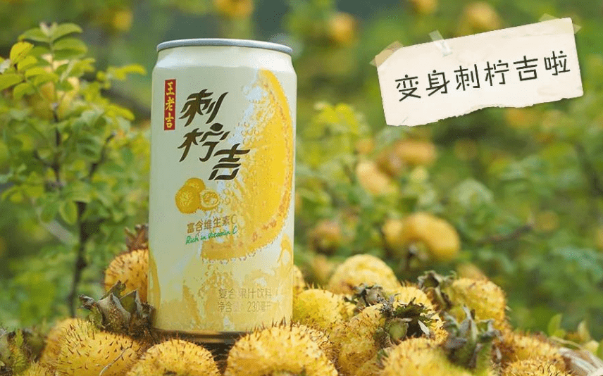 饮料的多样性与创新，从传统到现代的演变