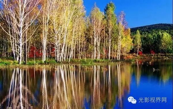 伊春的气压，探索与理解