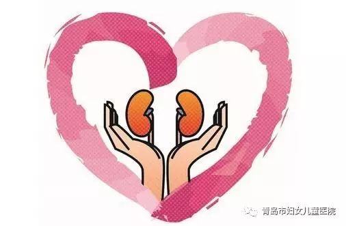 全国儿童肾病专家，守护幼小心灵的肾脏健康