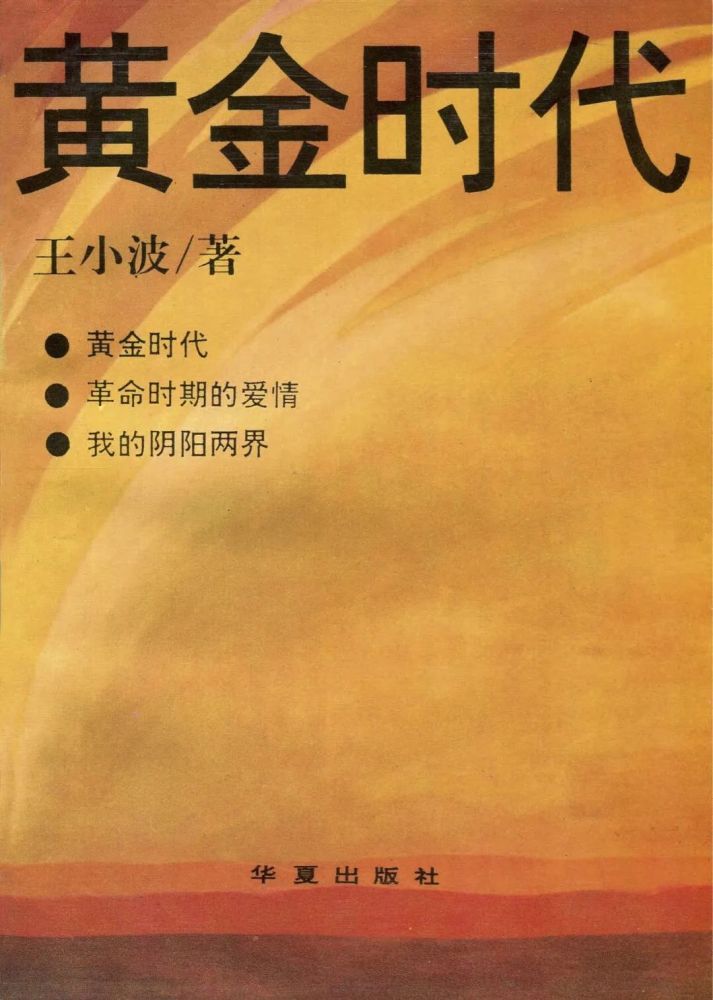 黄金岁月小说，探寻梦想与成长的宝藏