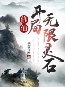 开局无限灵石，探索游戏新纪元