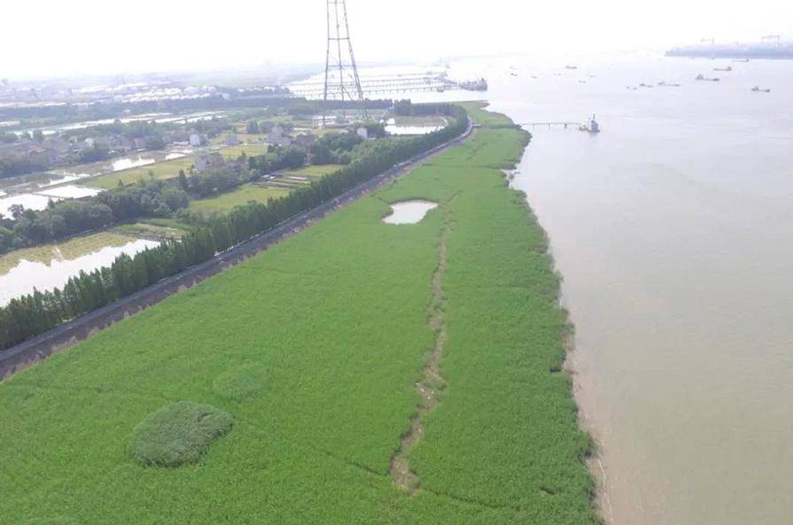江阴市，长江南岸的一颗璀璨明珠