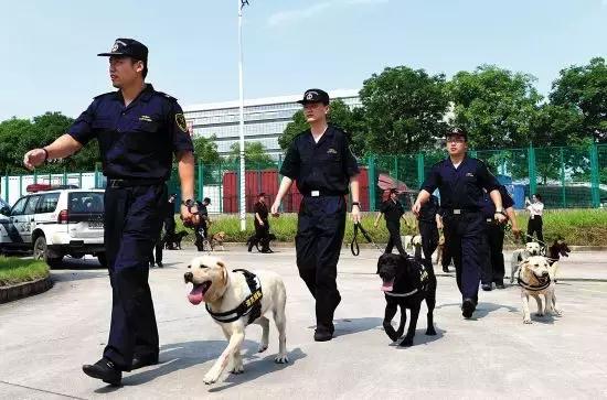 关于缉毒警待遇的探讨