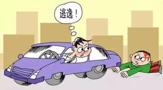 北京灵山越野跑死人事件深度解析
