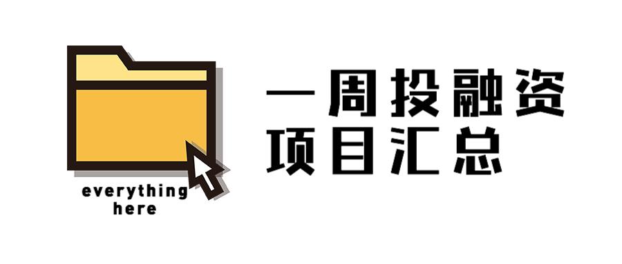 加拿大创投公司，引领创新的先锋力量