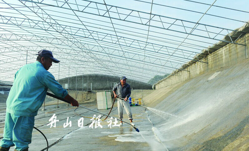 大棚虾养殖技术视频，引领现代水产养殖的新篇章