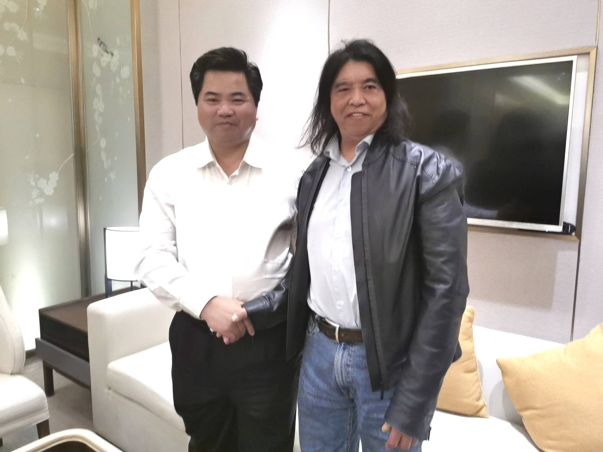 黄金木纹石，自然之美与艺术之韵的融合