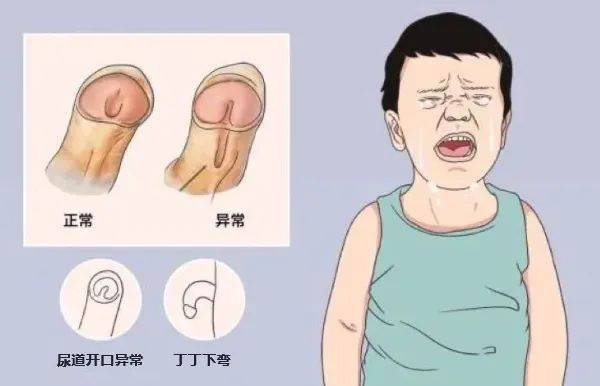 2025年5月12日 第10页
