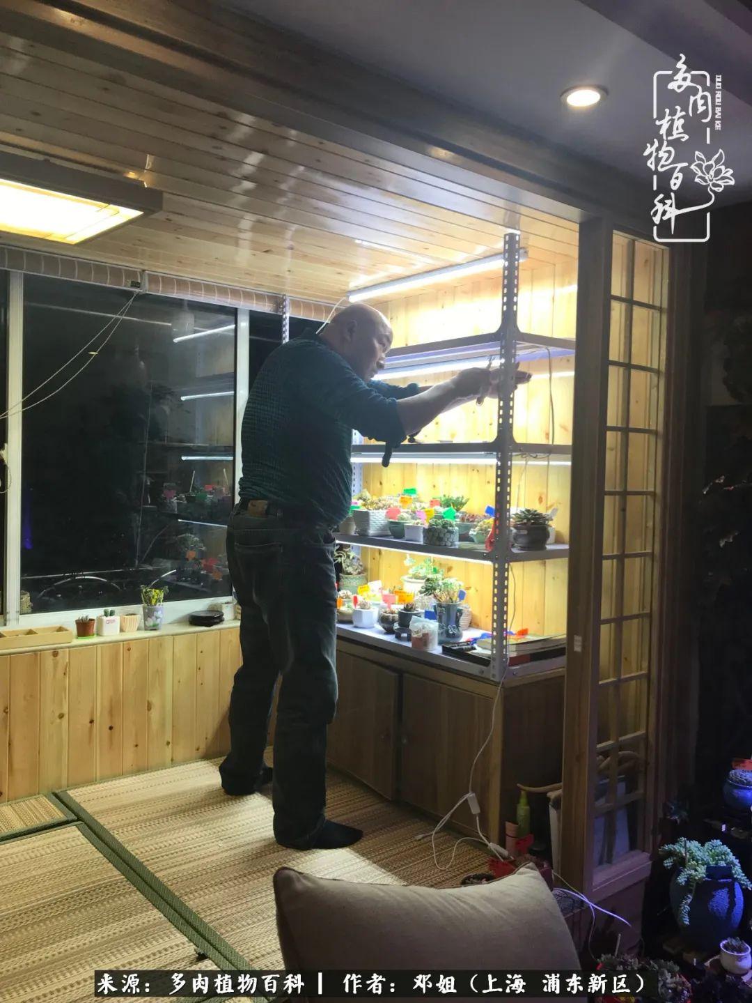 大棚养鱼的缺点及其影响