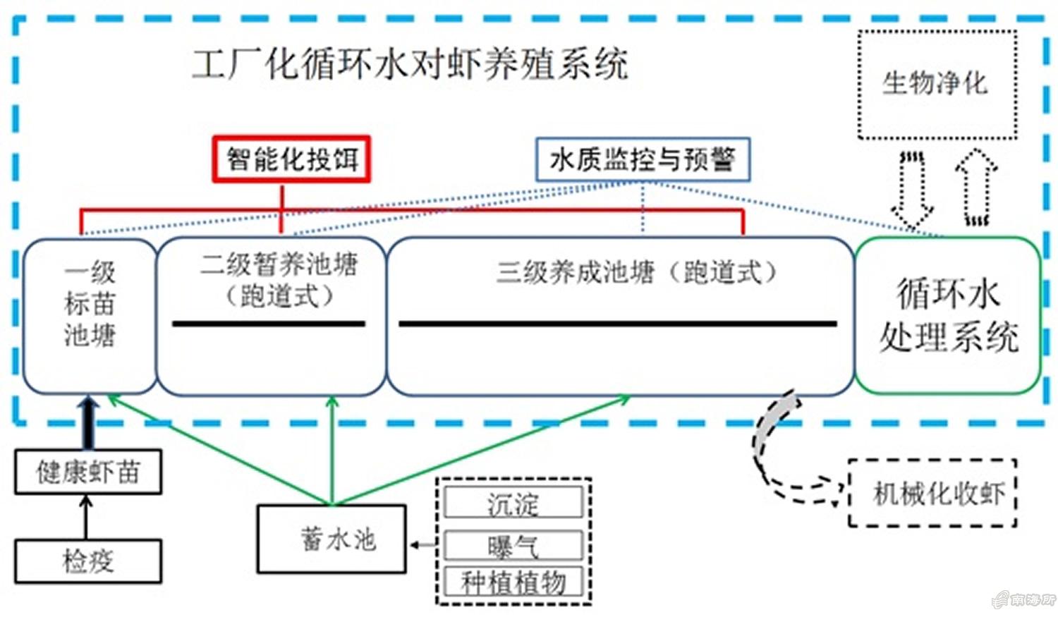 大棚养虾水循环系统的构建与优化