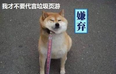 开局一人一狗，背后的梗与情感投射