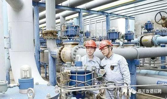 税五金属于，揭示税收与五险一金之间的紧密联系