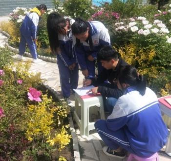 交警图标志，交通安全的无声守护者