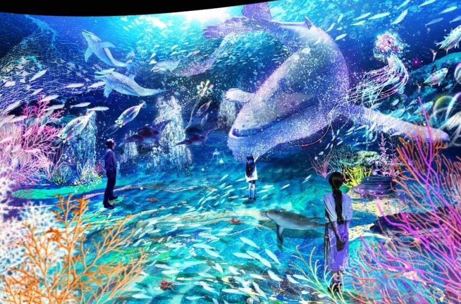 海昌印象之美真假，探寻真实与虚幻的交融之美