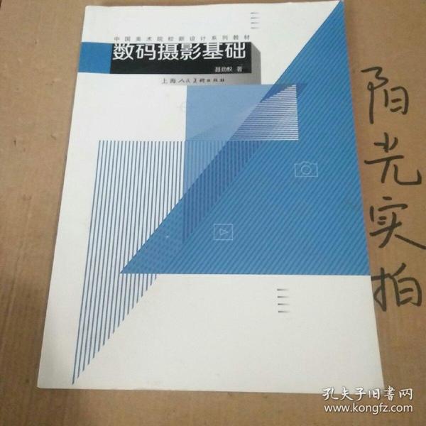 美术照相教案