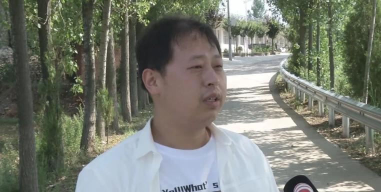 连翘的品种与类别