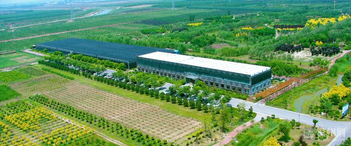 园林绿化苗木品种探析之六，多样性与应用前景