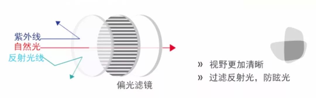真假偏光镜，识别、影响与选择