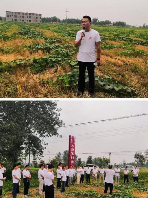 光伏产业新动向，解读六部委联合文件