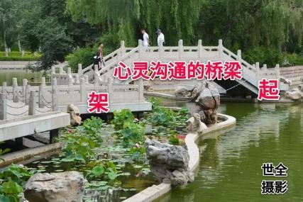 交际英语一本通，打造全方位英语沟通能力的关键