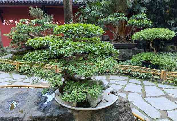 园林造型品种繁多，各具特色
