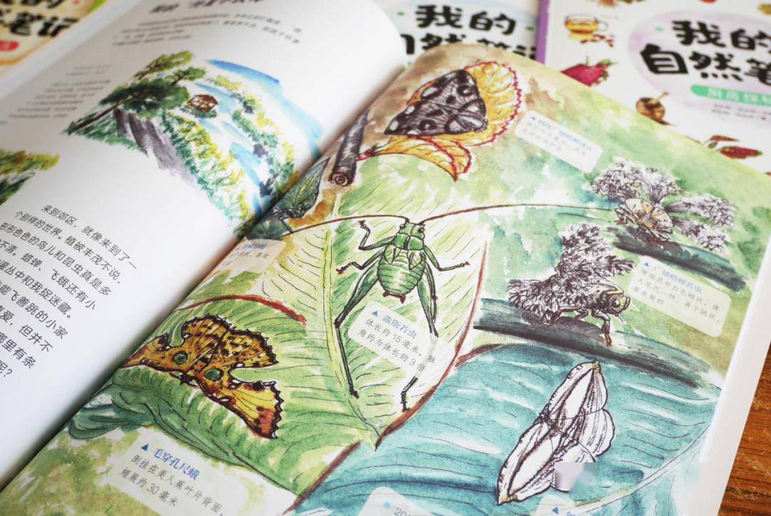 一本画下梦境的书，探索梦境与现实的艺术交融