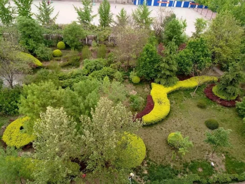 学校花草品种，探索校园绿色生态的多样性