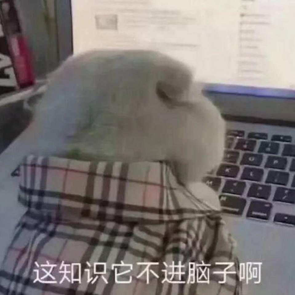 攻受表情包，网络交流的新宠