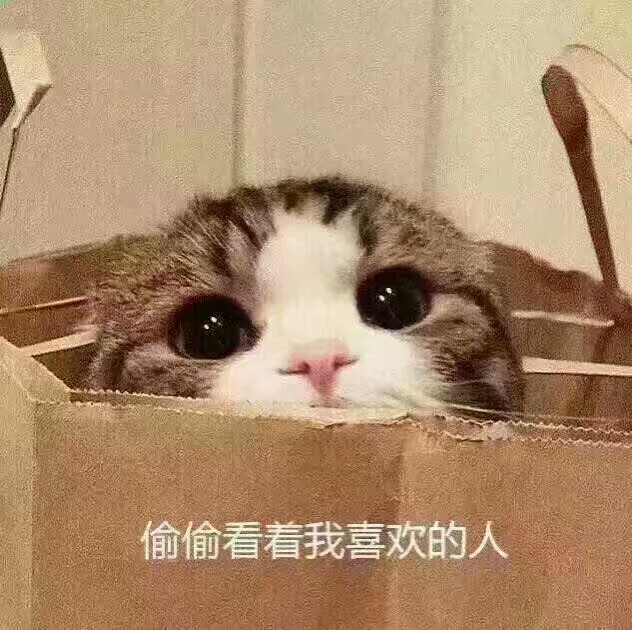 偷窥动漫表情包，一场视觉盛宴的探寻之旅