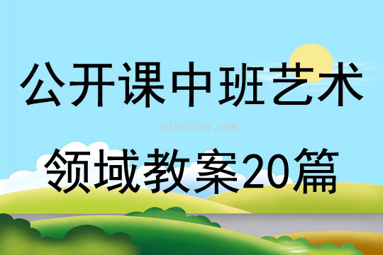关于美术领域的教案中班