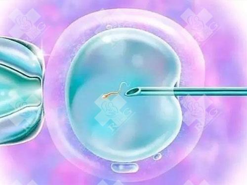 移植冻胚还需要取卵吗？——对辅助生殖技术的深度解析