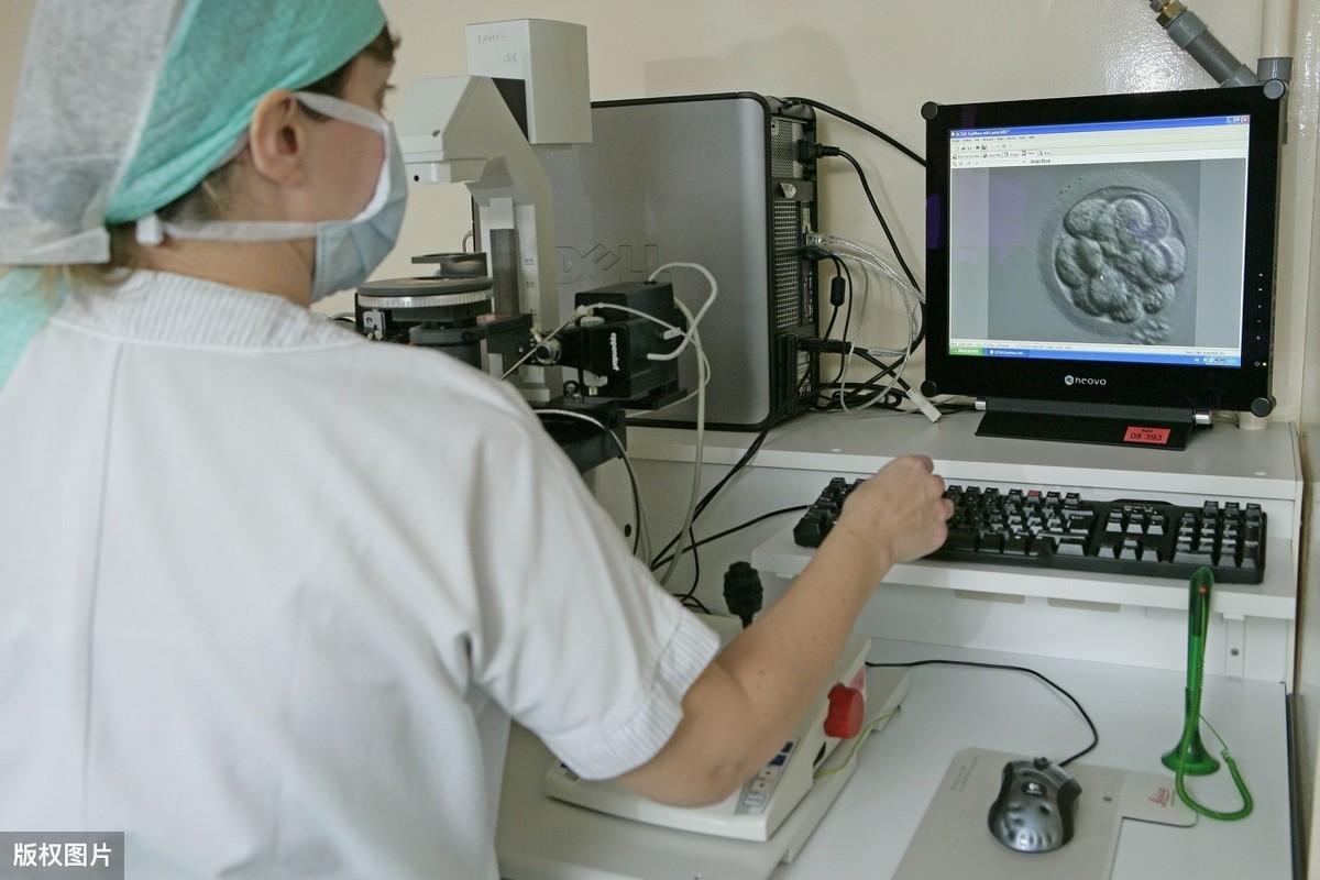 试管取卵后没有优势卵泡，探索原因与应对策略