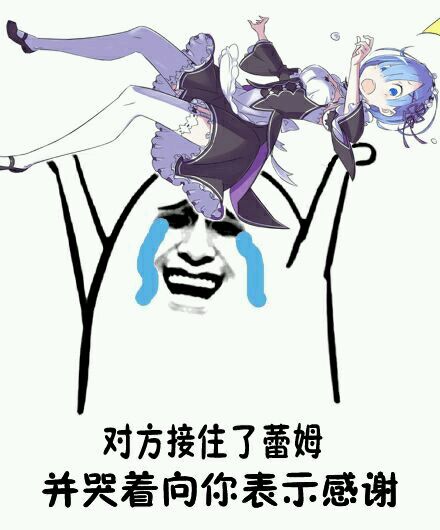 接住蕾姆表情包，网络文化的新宠