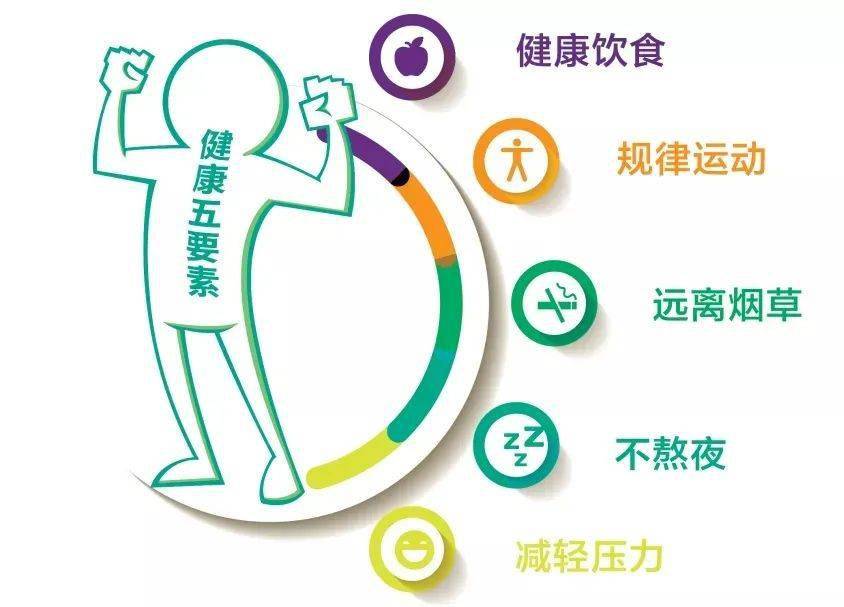 拓丰健身，塑造健康生活的力量之源