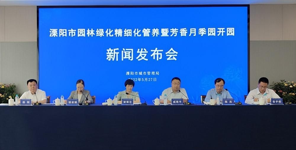 江苏品种月季价格研究
